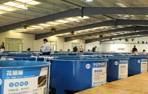 首屆廣東漁業(yè)種博會(huì) 沒想到你是這樣的博覽會(huì)！